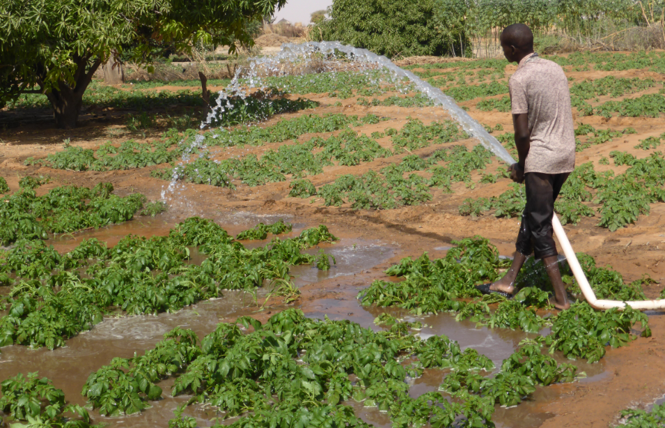 Réutilisation de l'eau traitée